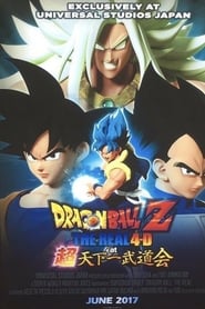 Dragon Ball Z: The Real 4-D at Super Tenkaichi Budokai