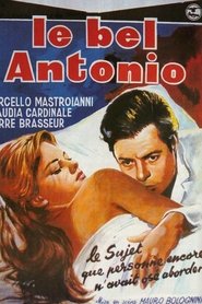 Handsome Antonio
