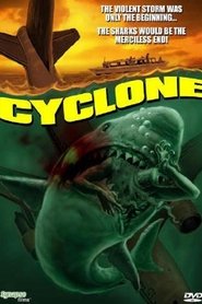 Cyclone