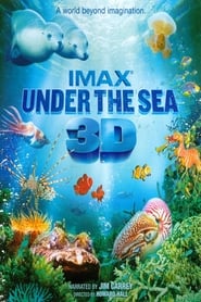 Under the Sea 3D