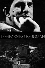 Descubriendo a Bergman