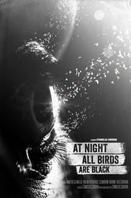 At night all birds are black