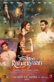 Teri Meri Kahaniyaan