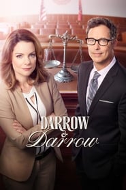 Darrow & Darrow: L'affaire des bijoux volés