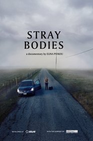 Stray Bodies