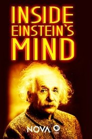 Inside Einstein's Mind: The Enigma of Space and Time