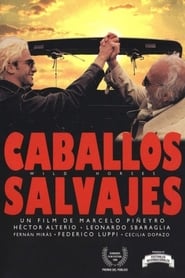 Caballos salvajes