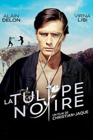 La tulipe noire