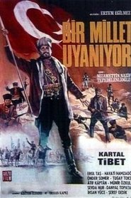 Bir Millet Uyanıyor