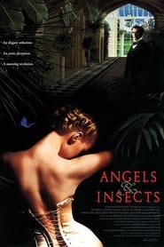 Angels and Insects