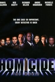 Homicide: il film