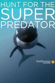 The Search for the Ocean's Super Predator