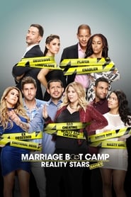 Marriage Boot Camp: Reality Stars