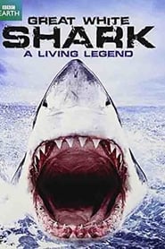 Great White Shark: A Living Legend