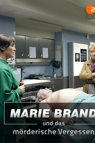 Marie Brand und das mörderische Vergessen