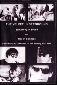 A Symphony of Sound: The Velvet Underground & Nico 1966