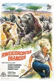 Sur la piste du rhinocéros blanc