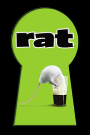 Rat