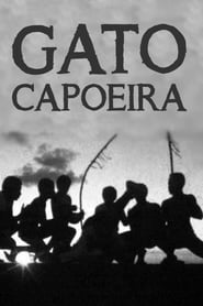 Gato / Capoeira