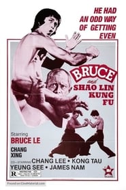 Bruce and Shaolin Kung Fu