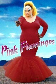 Imagen de Pink Flamingos