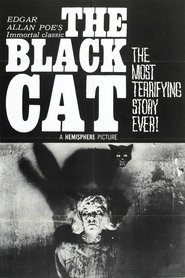 Film The Black Cat streaming VF complet