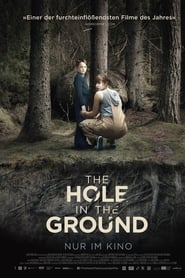 The Hole in the Ground 2019