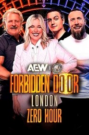 Imagen de AEW x NJPW: Forbidden Door - Zero Hour