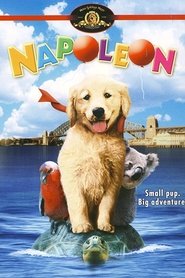 Film Napoléon en Australie streaming VF complet