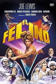 Imagen de El felino