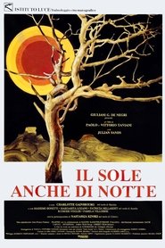 Film Il sole anche di notte streaming VF complet