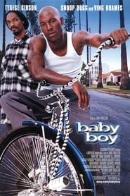 Film Baby Boy streaming VF complet