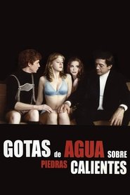 Imagen de Gotas de agua sobre piedras calientes