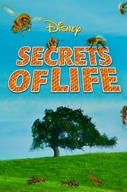 Film Secrets of Life streaming VF complet