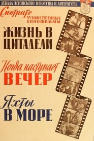 Film Jahid merel streaming VF complet