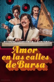 Imagen de El ruiseñor de Bursa