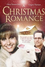 Film La Romance de Noel streaming VF complet