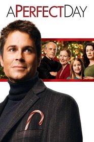 Film Une Merveilleuse journée streaming VF complet