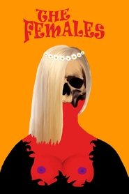 Poster of undefined