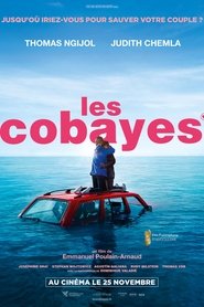 Les Cobayes