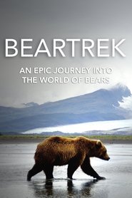 Imagen de Beartrek