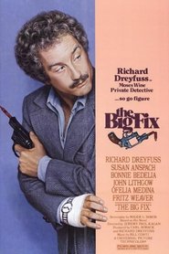 Film The Big Fix streaming VF complet