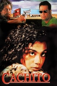 Poster of undefined