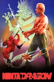 Film Ninja Dragon streaming VF complet