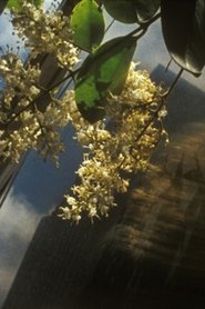 Film April streaming VF complet