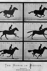 Sallie Gardner at a Gallop