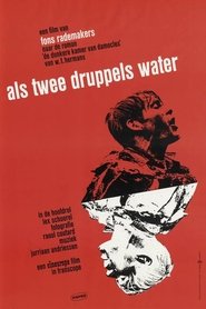 Film Comme deux gouttes d'eau streaming VF complet
