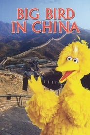 Film Big Bird in China streaming VF complet