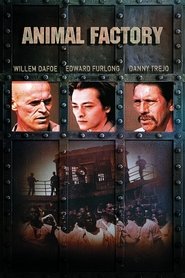 Poster of undefined