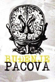 Film Buđenje pacova streaming VF complet